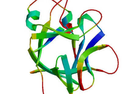 IL36B (IL-36 beta), Murine (183 a.a.)