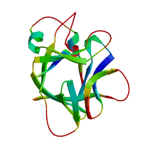 IL36B (IL-36 beta), Murine (183 a.a.)