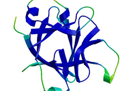 IL36RN (IL-36RA), Murine
