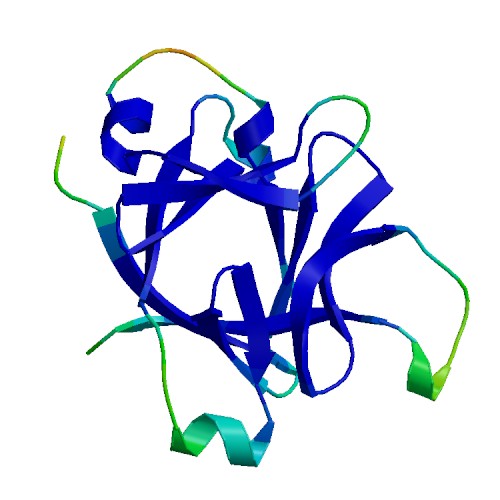 IL36RN (IL-36RA), Murine