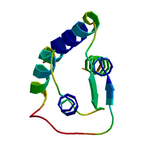 IL13, Rat (113 a.a.)