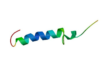 PTH 1-84 (15N), Human
