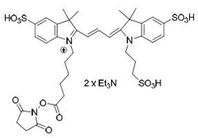 Cy3‐NHS Ester