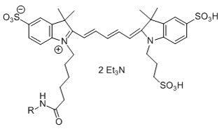 Cy5‐NHS Ester