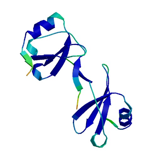 MIP2, Virus