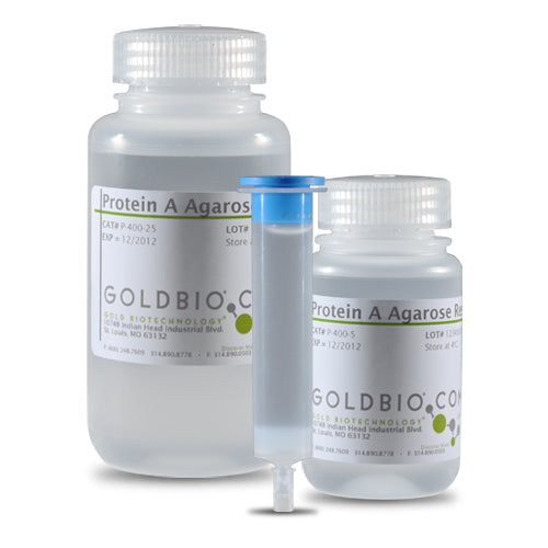 Protein A Agarose Resin (Pharmaceutical grade for research)