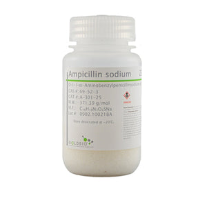 Ampicillin sodium bottle - research antibiotic
