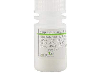 Amphotericin B, Solubilized