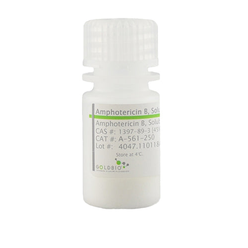 Amphotericin B, Solubilized