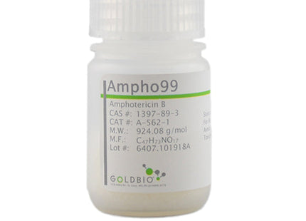 Ampho99