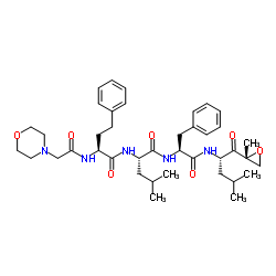 Carfilzomib