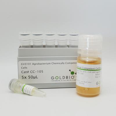 GV3101 Agrobacterium Chemically Competent Cells