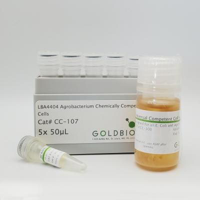 LBA4404 Agrobacterium Chemically Competent Cells