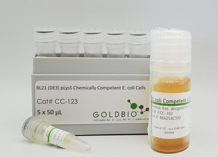 BL21 (DE3) pLysS E. coli Competent Cell Strain
