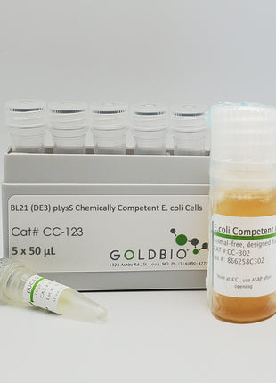 BL21 (DE3) pLysS E. coli Competent Cell Strain