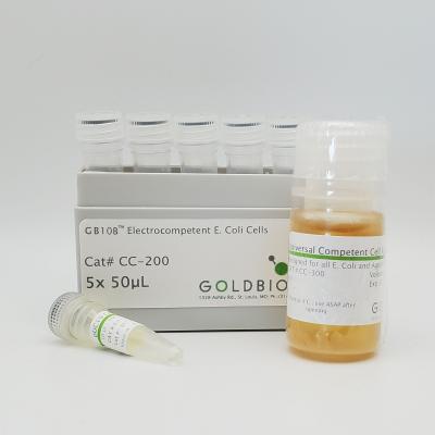 GB10B™ Electrocompetent E. coli Cells