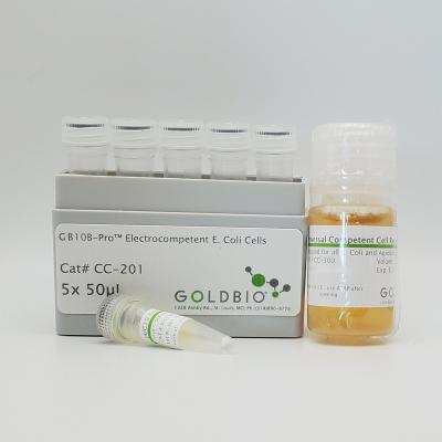GB10B-Pro™ Electrocompetent E. coli Cells