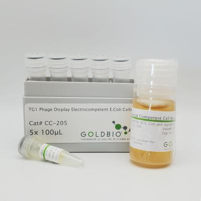 TG1 Phage Display Electrocompetent Cells