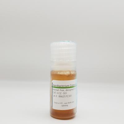 Agrobacterium Competent Cell Recovery Medium