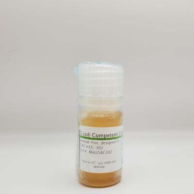 E. coli Competent Cell Recovery Medium