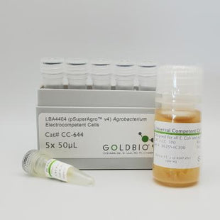 LBA4404 (pSuperAgro® v4) Agrobacterium Electrocompetent Cells