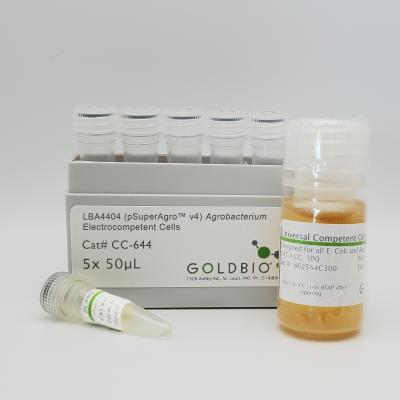 LBA4404 (pSuperAgro® v4) Agrobacterium Electrocompetent Cells