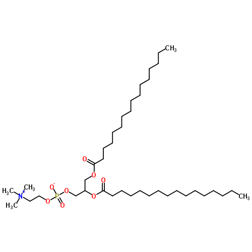 1,2-Dipalmitoyl-rac-glycero-3-phosphocholine