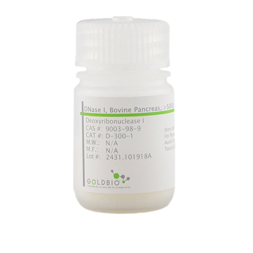DNase I, Bovine Pancreas (Lysate Tested), >500 Kunitz U/mg