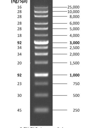 D011 GoldBio ready to use ReadyLadder 250-25000 bp DNA Ladder bands