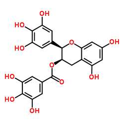 Epigallocatechin gallate