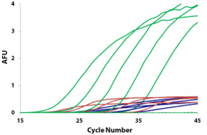 EvaGreen® Dye, 2000x in DMSO