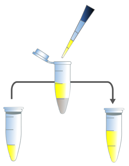 Illumination™ Firefly & Renilla Luciferase Enhanced Assay Kit