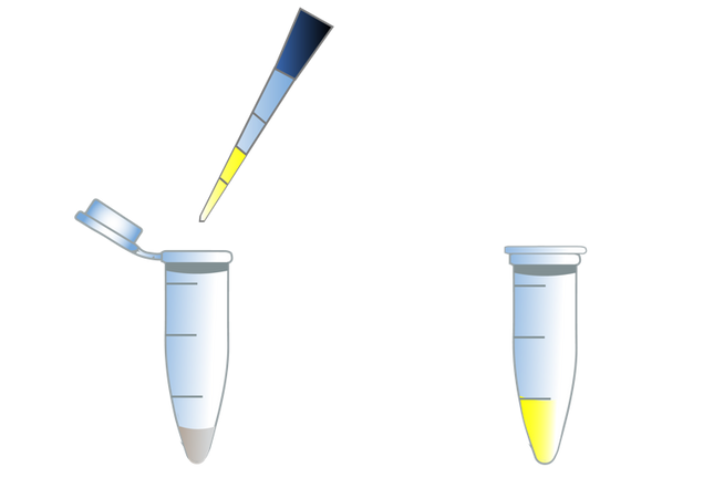 Illumination™ Firefly Luciferase Enhanced Assay Kit