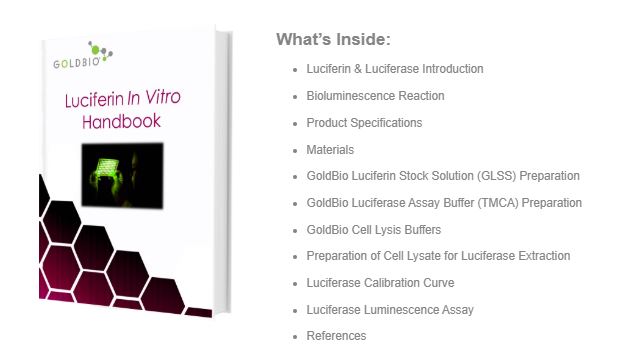 Luciferin In Vitro Handbook Banner