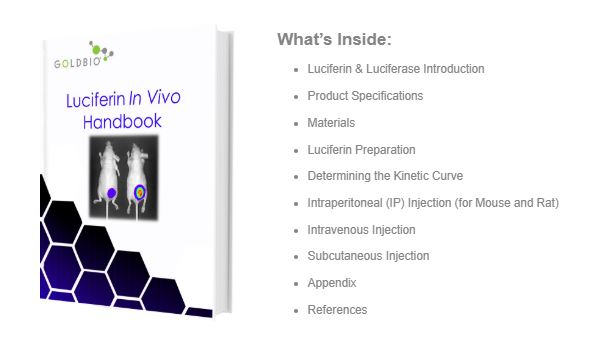 Luciferin in vivo handbook banner