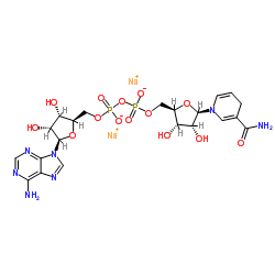 NADH (β-Nicotinamide Adenine Dinucleotide Reduced Sodium Salt)