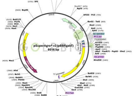 psuper agro v3 vector map