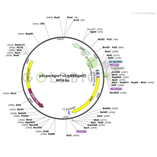 psuper agro v3 vector map