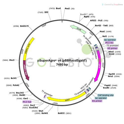 psuperagro v4 vector map