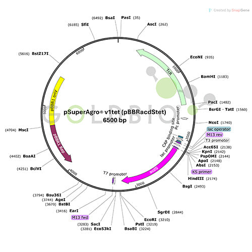 psuperagro v1tet plasmid map