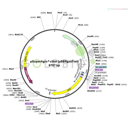 psuperagrov3tet vector map