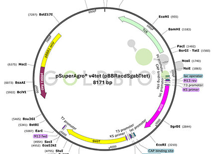 psupergro v4tet plasmid map