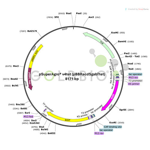 psupergro v4tet plasmid map