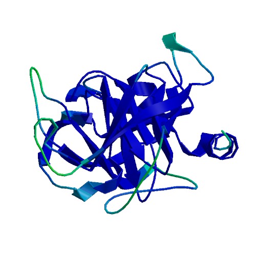 Immobilized Trypsin Agarose Resin