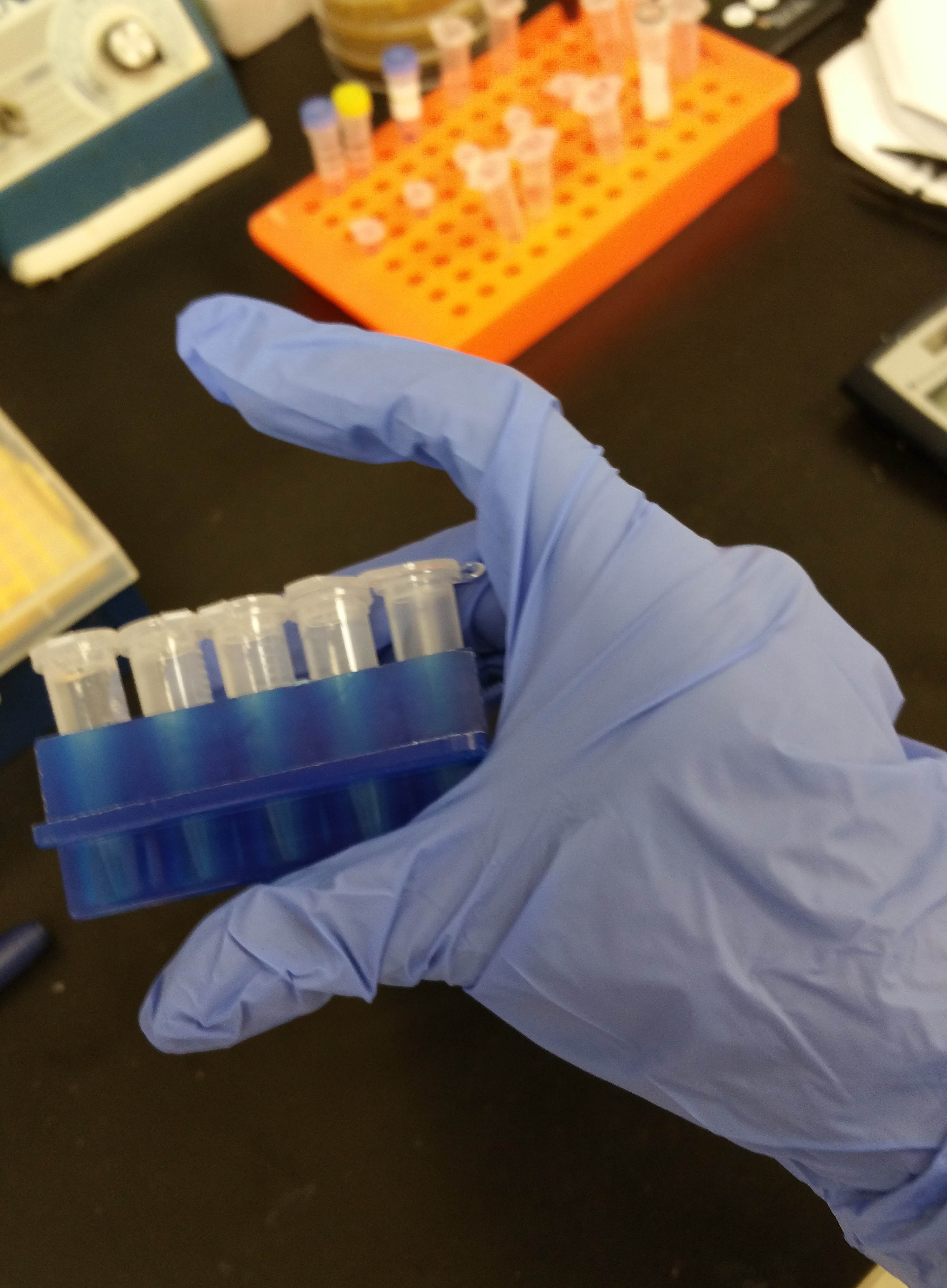 25 Real Lab Hacks from Researchers Like You - Invert multiple tubes at once using your tube rack