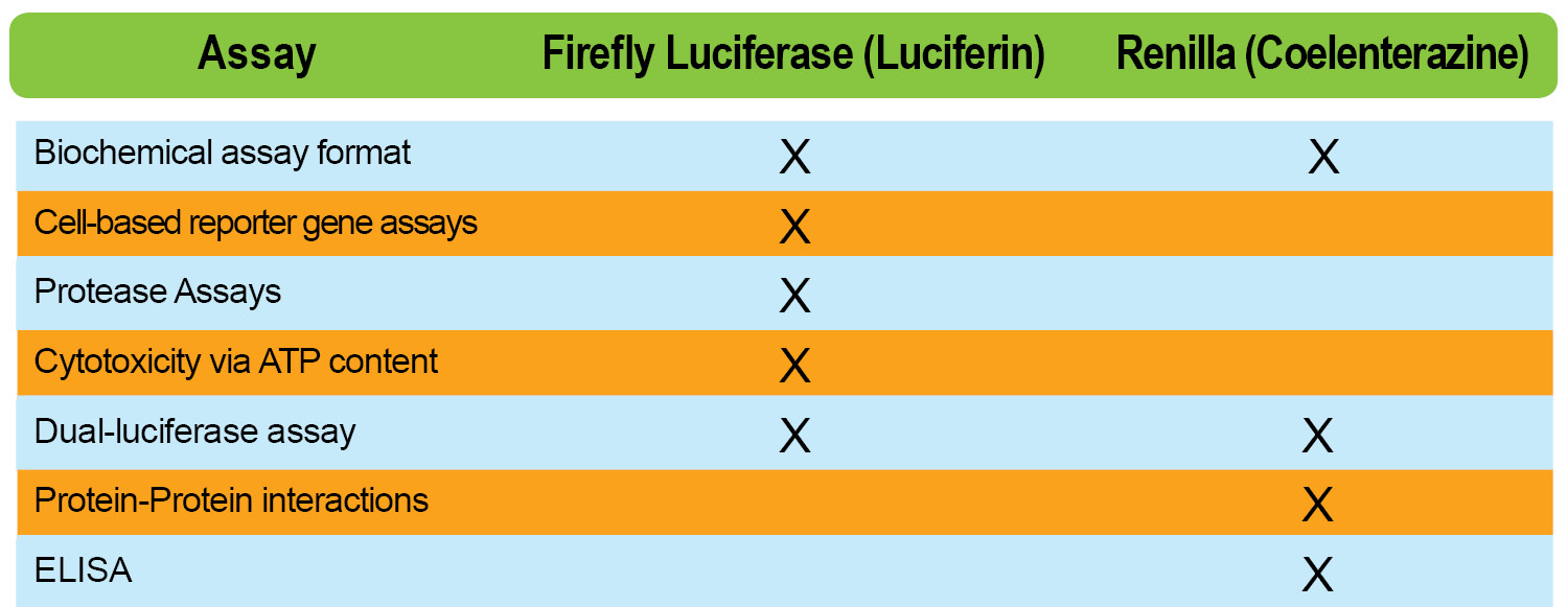 appropriate luciferases for assays - luciferin shopping guides
